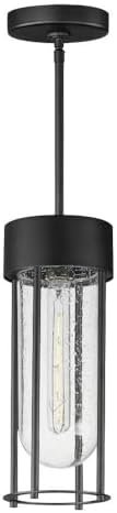 Maxim Lighting 30587CDBK Millennial - 1 Light Outdoor Hanging Lantern-14.5 Inches Tall and 5.5 Inches Wide