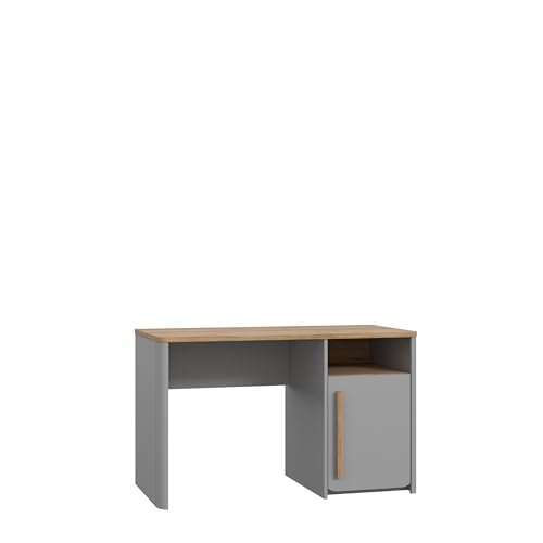 Forte SURFINIO Schreibtisch 120, moderner Schreibtisch mit 1 Tür, Computertisch, Büro, Home Office, Holzwerkstoff, Grau/Catania Eiche Holzdekor, 120 cm breit x 73,5 cm hoch x 58,7 cm tief