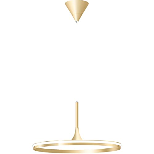 Plafonnier LED en aluminium : lampe suspendue et lustre réglable de chambre