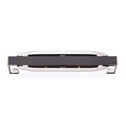 Gaita Pocket Blues Dolphin 6406, 20 Vozes Do Abs