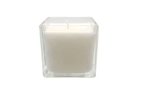 Mister Candle - Citronella Scented 2" Square Filled Glass Votive Candles Jar, Perfect Home Decoration, Wedding Favors Hand Poured In Usa (Set Of 12) (Citronella) #TOP1
