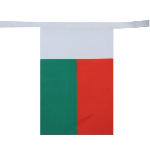 Image of AZ FLAG Madagascar 6 meters BUNTING Flag 20 flags 9'' x 6'' - Madagascan STRING flags 15 x 21 cm