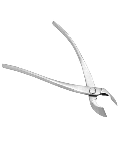 QWORK® Taglierina Bonsai 21 cm Acciaio Inox