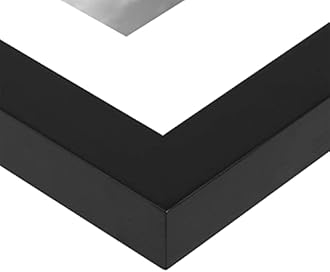 ONE WALL 16x20 Inch Floating Frame, Black Wood Double Glass Float Picture Frame Display 16x20/11x14 Inch Photos or Plant or Petal Specimens for Wall Hanging - Mounting Accessories Included