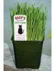 Woodrose Gardens, Rosy's 100% Organic Kitty Grass