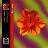 Groovy/Rebirth of Retro