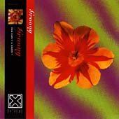 Groovy/the Rebirth of Retro-Co