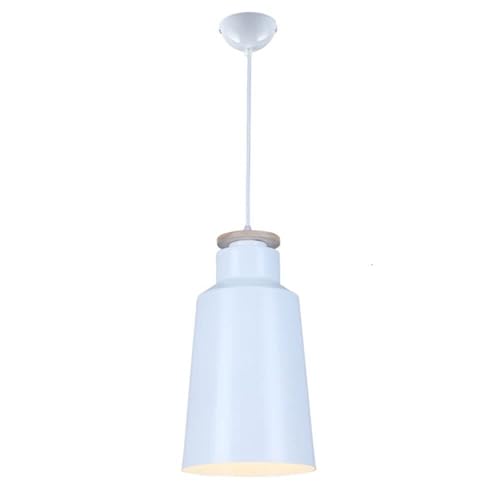 Lustre suspension créative noire de 30cm au style industriel chic et épuré