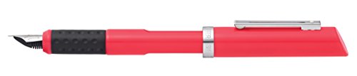 Stylo-plume Sheaffer Viewpoint Calligraphy rose à pointe fine idéal pour correspondances et carnets