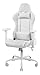 DELTACO Gaming Stuhl - PC Gaming-Stuhl mit Armlehne, hoher Rückenlehne und Kissen (Zocker Stuhl, Bürostuhl, ergonomisch, höhenverstellbar, PU-Leder, 110 Kg) Weiß