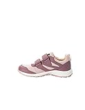 3655 ash st #2 san diego ca 92105 multifunktionaler Wanderschuh Jack Wolfskin Unisex Kinder Woodland Texapore Low Vc K, Ash Mauve, 36 EU
