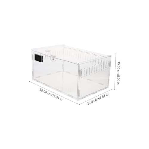 Terrarium acrylique pour geckos avec aération stable et structure légère
