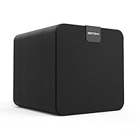 BESTISAN 100-Watt Powered Subwoofer - 8 Inch Speaker, Massive Output, Low Distortion, for Studio and Home Theater Systems SW80