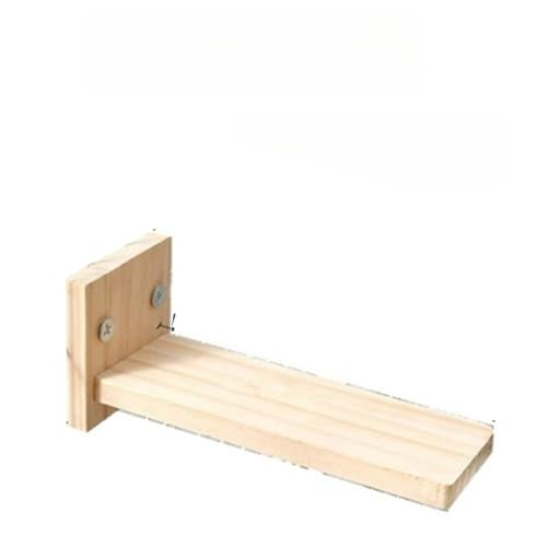 [Sexybala] L Xebv y2ZbgzP[WXebv LpKi ⏕ݑ qL VjALp  ~ߕt tȒP ϋvf ybgp ݑ  L P[W o~⏕ (21cm,Ȃ *y2z)