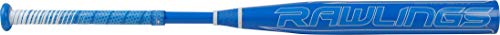 Rawlings 2021 Mantra Fastpitch Softball Bat Series, 34 Inch (-10) #TOP1