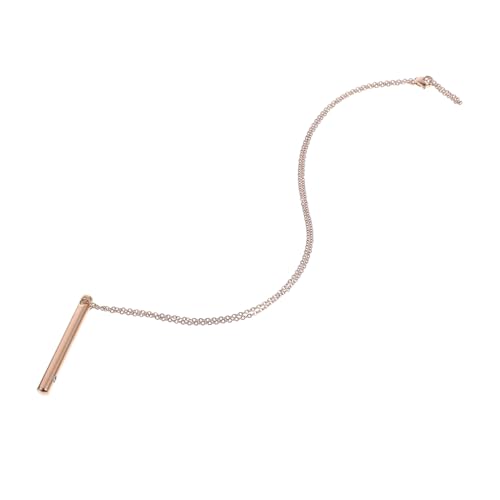 DEARMAMY Colgante De Urna De Cremación Para Perfume Collar...