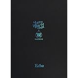 Echo: Solo Leveling (Webtoon Soundtrack) (incl. Photobook, Photocard Full Set + Deco Sticker)