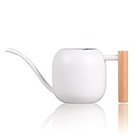 IMEEA 1L/35oz Watering Can Indoor Stainless Steel Watering Can with Long Spout for House Plants Bonsai Garden Flower
