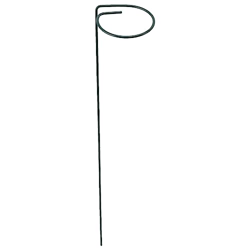 BORDSTRACT 12 Unidades De Suporte De Estaca De Planta De 17 Polegadas, Estaca De Suporte De Haste ún