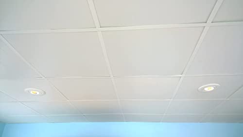 Dalles de plafond imperméables et lavables en PVC blanc uDecor DuraClean
