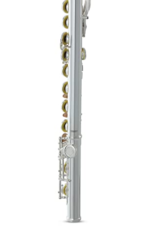 Roy Benson Rbfl-402E Student Flute #TOP5