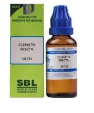 SBL Clematis Erecta Dilution 30 CH (30ml)- Pack of 2 (B0BTCY595R) Amazon Price History, Amazon Price Tracker