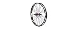 Taille des roues : 50,8 cm Colony Pintour Freecoaster Rear 20\