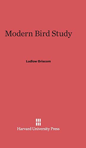 Modern Bird Study view 2