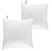 Coussins de Garnissage 30x30 cm (Lot de 2) - Coussin à Recouvrir - Densité supplémentaire, Lavage en machine - Oreillers Intérieur - Rembourrage Coussins - 30 x 30