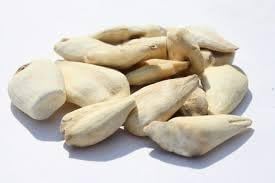 AyuZen Suranjan Sheeri Meethi Sabut (100 gm) | Suranjaan Mithi | Suranjan Sweet | Colchicum Luleum Shirin | Saffron Tulipa | Clusiana Luteum