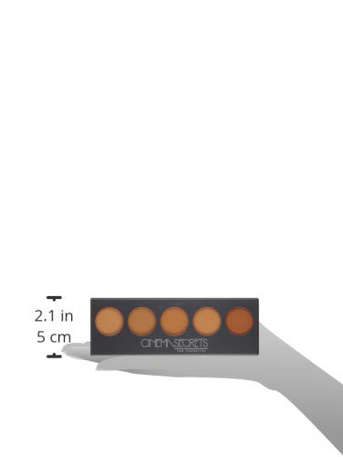 Cinema Secrets Pro Cosmetics Ultimate Foundation 5-In-1 Pro Palette, 300 Series #TOP4