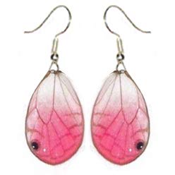BicBugs Cithaerias merolina Pink Clear Butterfly hindwing Earrings