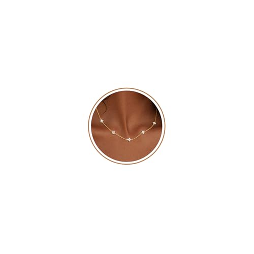 FUNEIA Dainty Silver Gold Necklaces for Women Trendy Non Tarnish 14K Gold Plated Cubic Zirconia...