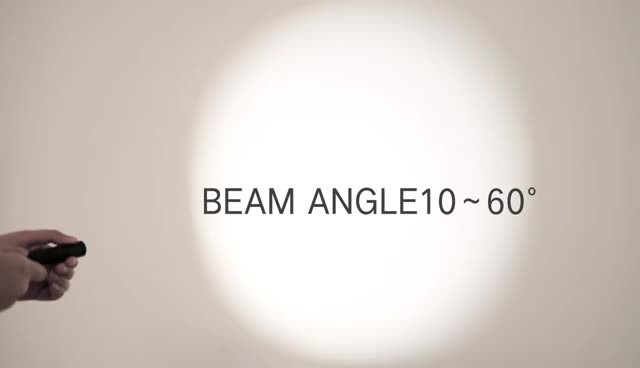 Amazon.co.jp: イチネンアクセス MUSTTOOL (マストツール) MFL-1001R