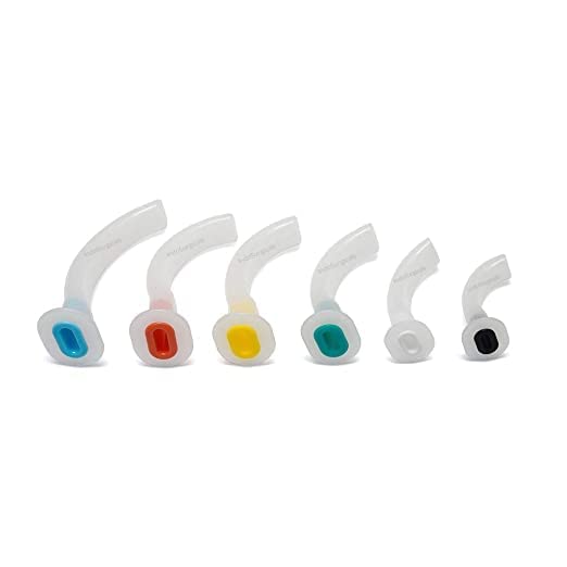 Dhadh Guedel Pattern Airways - Set of 6 Pieces (B0C241HBP6) Amazon Price History, Amazon Price Tracker