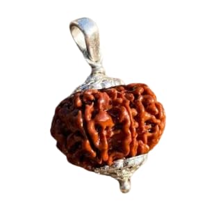 BluDiamond 8 Face Rudrakshaa Nepal 8 Mukhi Rudraksha Pendent 8 मुखी रुद्राक्ष ओरिजिनल Pure Eight Faced Rudraksa Genuine Aath Ashta Mukhi Rudraksh Original Certified अष्ट मुखी रुद्राक्ष For Puja Dhyaan