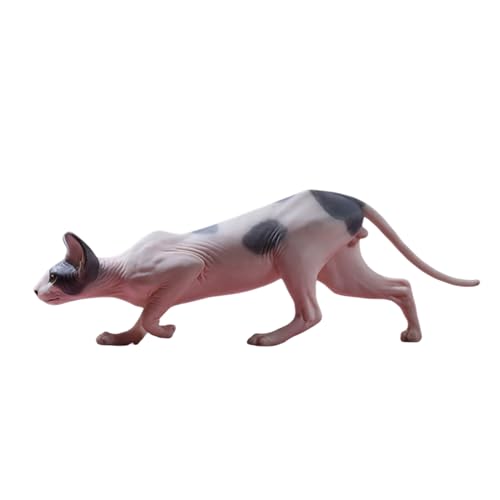 JXK 1/6 サイズ スフィンクス 猫 可愛い ペット 動物 リアル フィギュア PVC プラモデル プレミアム 大人のおもちゃ 模型 16.5cm級 オリジナル スタチュー 塗装済 完成品 ネコ好き 誕生日 プレゼント 置物 情景 道具 (004)