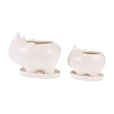 Happyyami Ceramic Succulent Planter Pots with Drainage Tray White Rhinoceros Animal Flower Pots for Indoor Desk Minimalist Decorative Plant Containers Sturdy High-Temperature Calcined