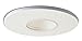 Nora Lighting NL-421 Pinhole Recessed Lighting Trim, White