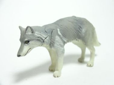 Amazon | わがままな天然列島 大地の動物シリーズ ニホンオオカミ(白狼