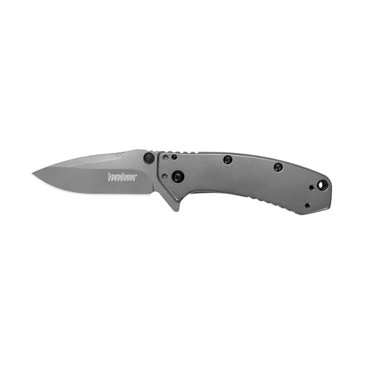 Kershaw Cryo Knife, 2.75" Stainless Steel Drop Point Blade, Assisted Opening Everyday Carry Pocket Knife