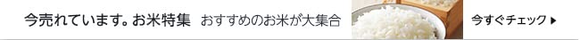 今売れています お米特集