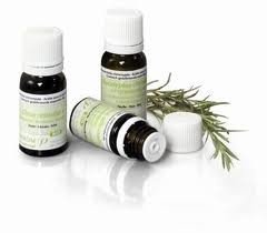 Naturbite Salvia Real Hojas Grandes Aceite Esencial Bio 10Ml 21 G