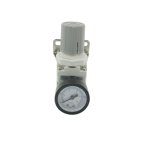 Régulateur de pression pour compresseur AR2000-02 blanc 1/4 pouce - 3