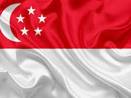 UNIq International Countries Miniature Double Sided Flags Made of 100% Special Silk Fabric (Warp-Knitted Polyester) Ready to use as Option in Brass Flag Stand (Stand By Flag - Singapore)-image-39