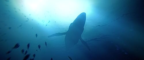 Under the Waves