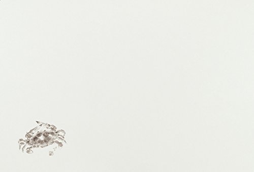 大黒工業 『業務用』 テーブルマット 渡り蟹 26×38cm 100枚 上質紙