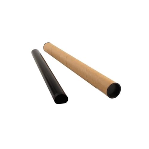 Custodia for pellicola del fusore da 1 confezione for serie IR2200/IR4570: custodia for pellicola del fusore singola, compatibile con le fotocopiatrici IR2800, IR3300, IR4530, IR4570, IR3570, IR2200, che garantisce un trasferimento termico uniforme for una fusione affidabile del toner nelle attività di stampa quotidiane.