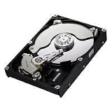 Samsung Desktop Class Spinpoint F3 1 TB SATA 3.0 Gb-s 32 MB Cache 3.5-Inch Internal Bare-OEM Drives,
