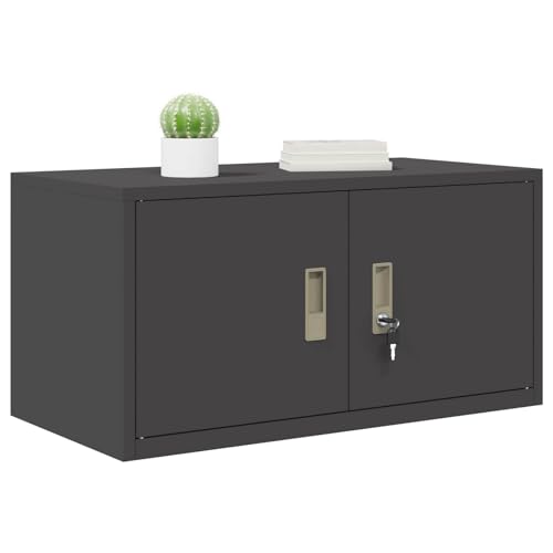 vidaXL Armoire de Rangement Noir 80 x 40 x 40 cm Acier, Armoire de Bureau Moderne, en Acier rectangulaire, fermant à clé, Espace généreux, Meuble...